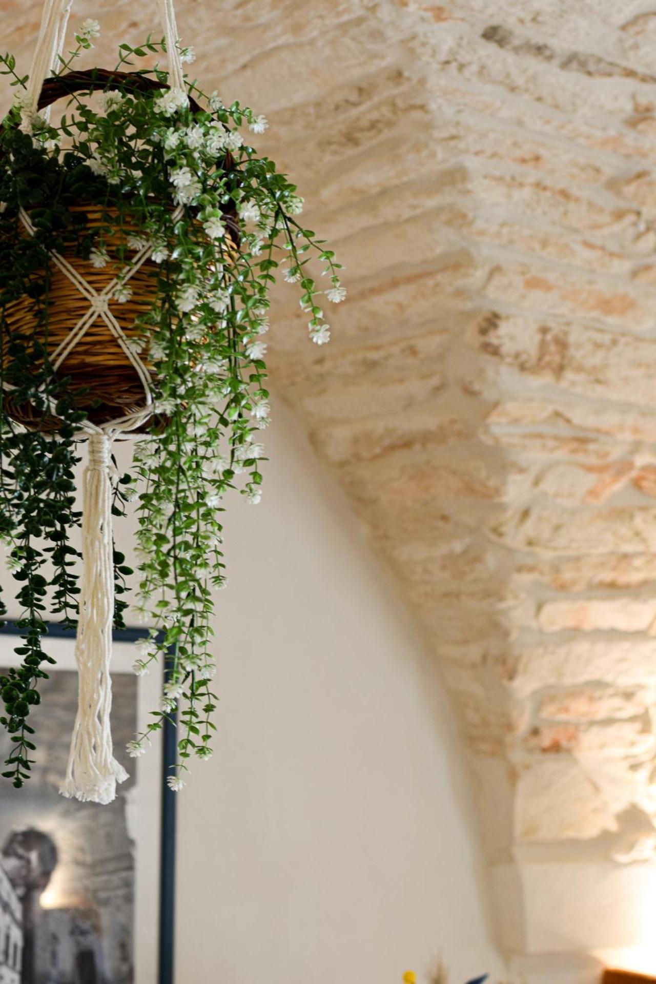 Pietra Antica, Old Town Bnb, Apartment مارتينا فرانكا المظهر الخارجي الصورة